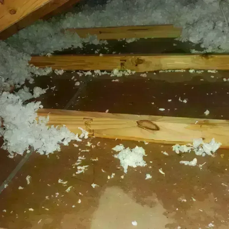 Attic Water Damage in Warrensville Heights, OH